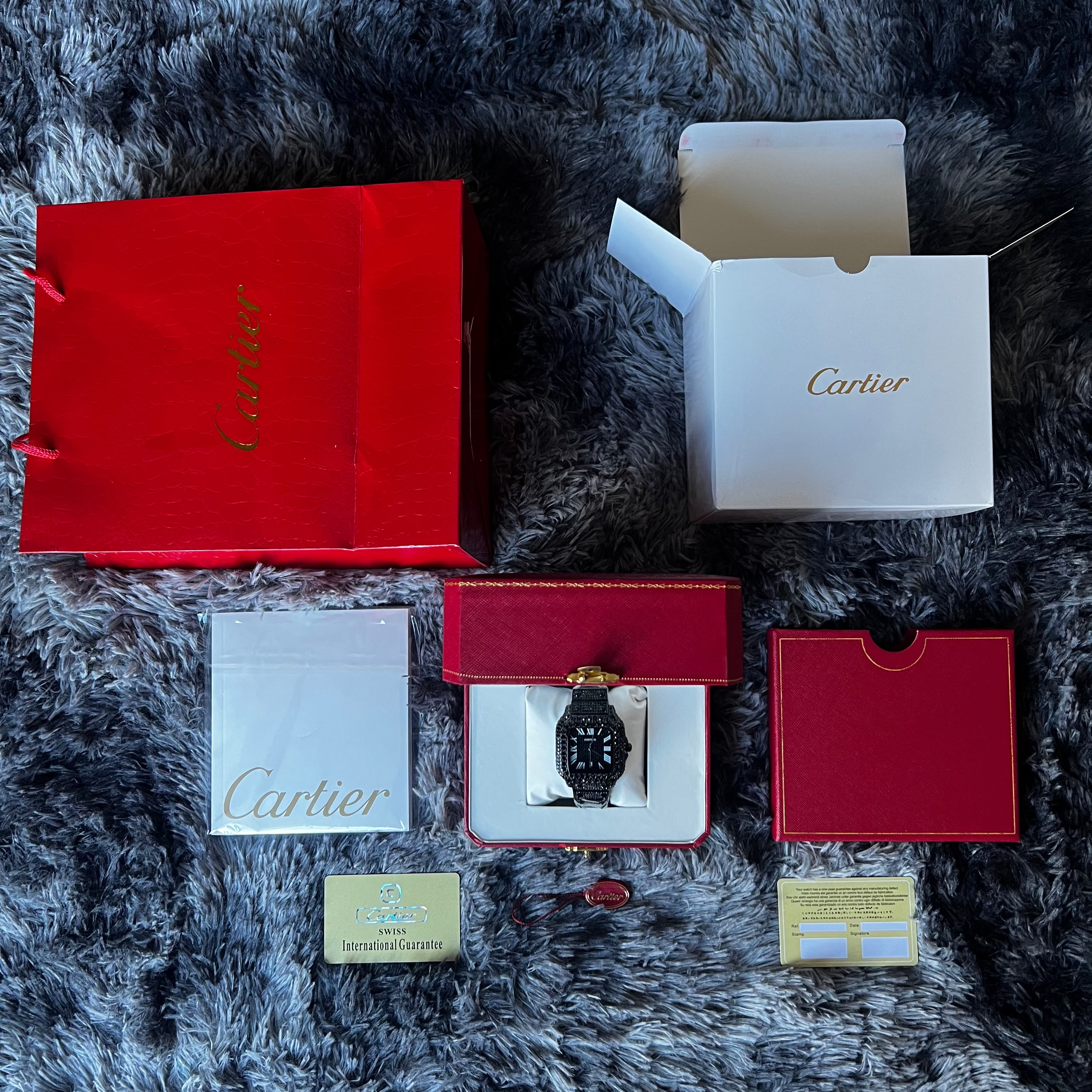 CARTIER SANTOS FULL SET